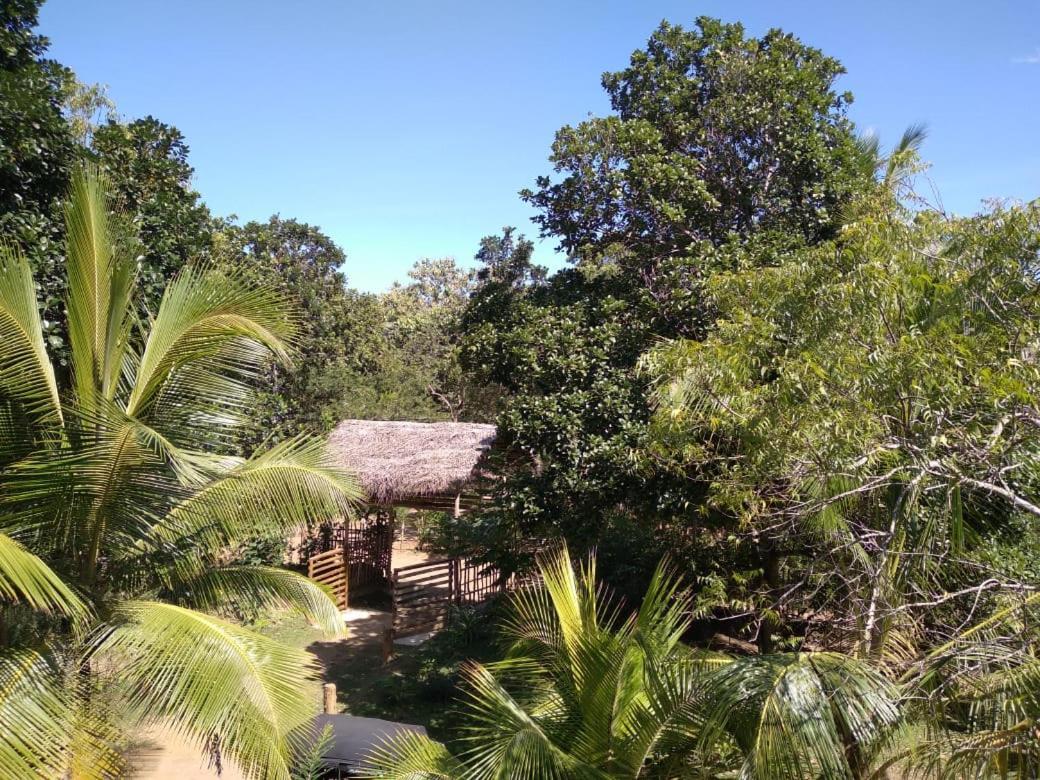 Home In The Island Tangalle Exterior foto