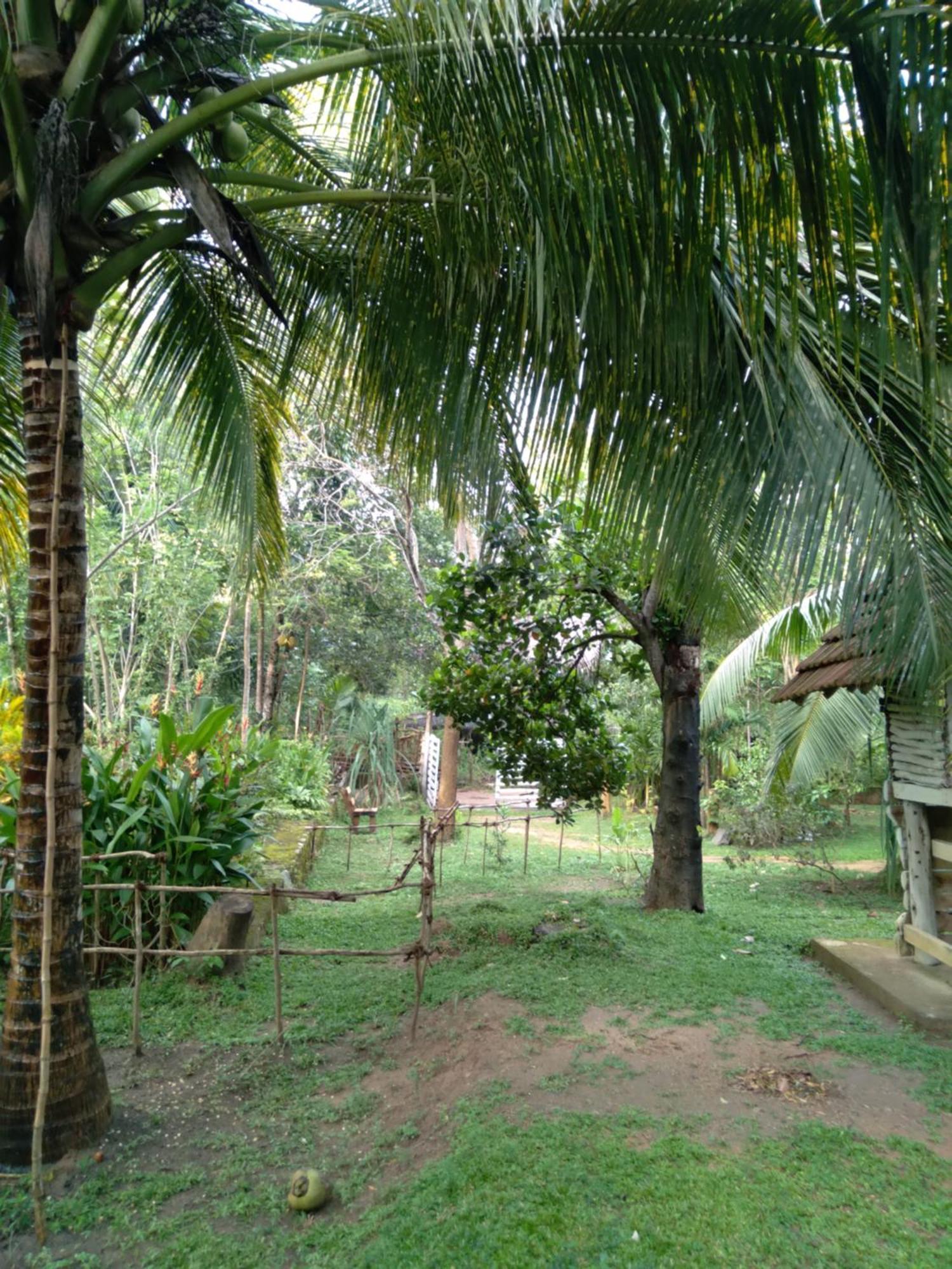 Home In The Island Tangalle Exterior foto