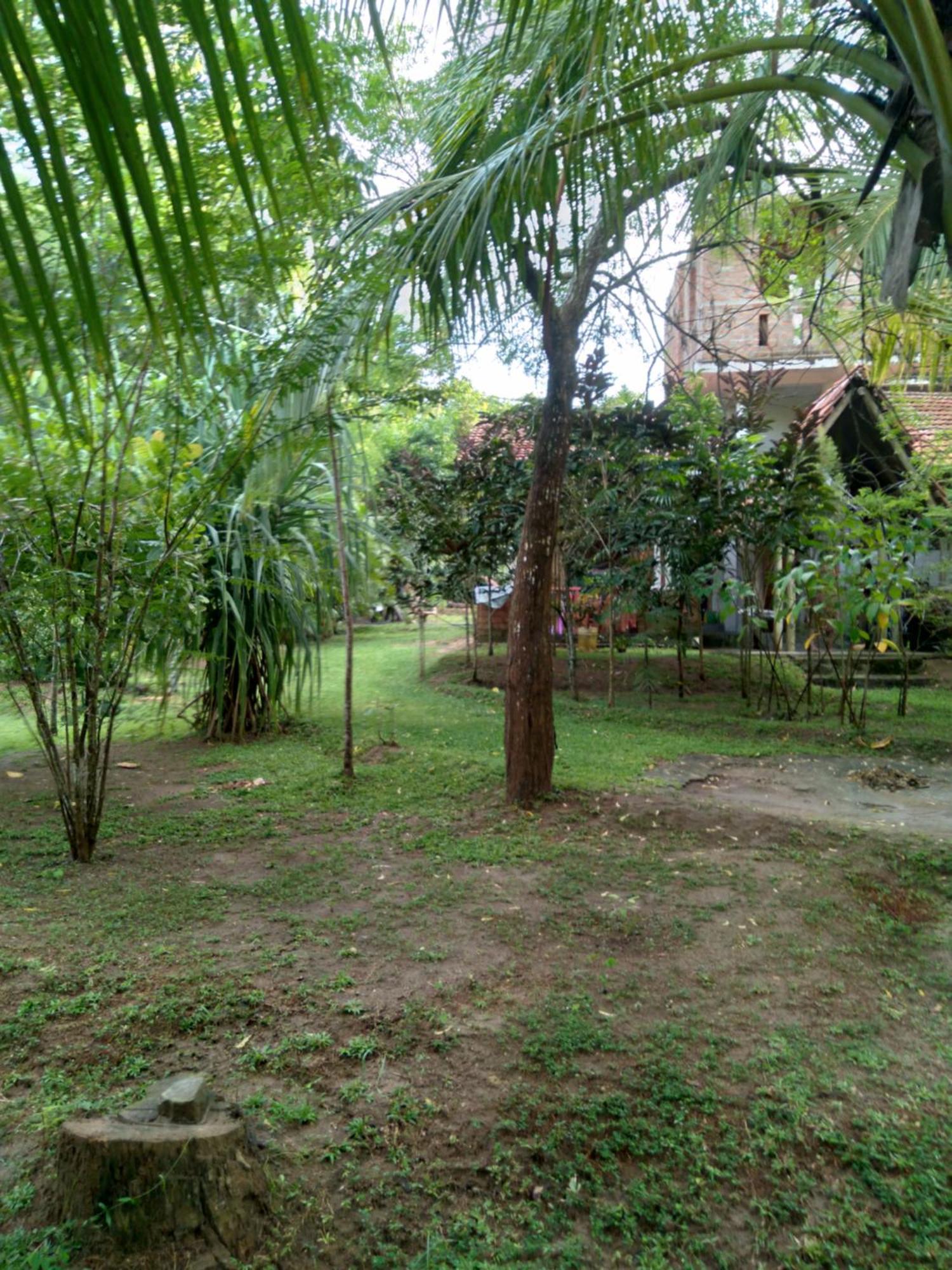 Home In The Island Tangalle Exterior foto